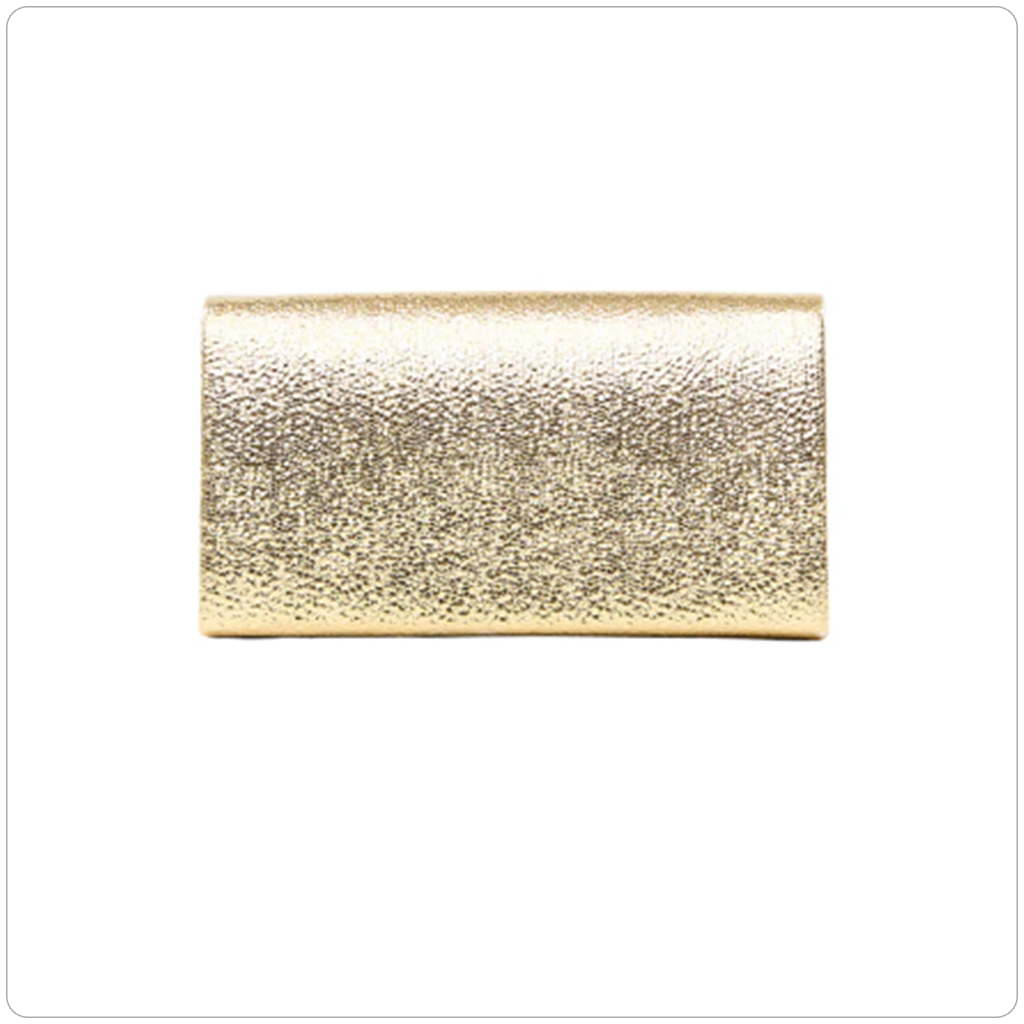 Bolso de fiesta brillante